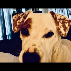 Meet your Posher, Nancy